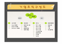 [경영진단]레인콤의 핵심역량구축-8