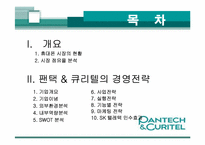 [경영관련]성공기업 경영전략(팬택앤 큐리텔)-2