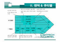 [경영관련]성공기업 경영전략(팬택앤 큐리텔)-17