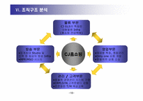 [기업분석] CJ홈쇼핑 기업분석 연구-10