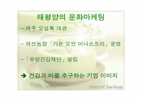 오설록티하우스 분석-3