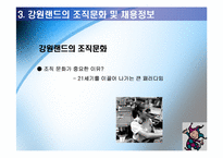 강원랜드 전략과 내부조직문화-14