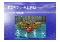 [항공산업] 아시아나항공전략-19