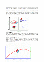 [외식프랜차이즈] 도미노피자 분석-16