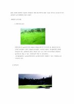 리조트산업 `대명콘도` 서비스경영사례-13