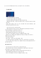 [경영분석] 항공운송기업 일본항공(JAL) 경영전략-8