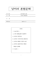 [남미문화] 남미의 혼혈문제-1