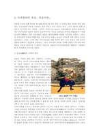 [남미사회와 문화] 브라질리안 유술에 관하여-3