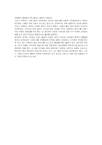 [남미사회와 문화] 브라질리안 유술에 관하여-20