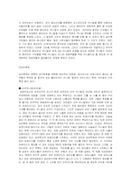 [남미문화] 남미축제와 유럽축제의 비교-5