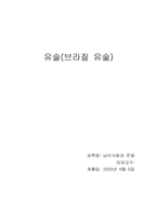[남미문화] 브라질 유술-1