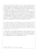 [중남미문학] 훌리오 꼬르따사르의 `맞물린 공원` 작품분석-9