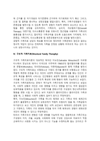 [가족치료이론] 가족상담(치료)이론(정신분석 가족치료, 다세대 가족치료, 경험적 가족치료, 구조적 가족치료, 전략적 가족치료, 해결중심단기가족치료, 이야기치료)-6