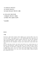 [복지국가] 복지국가의 개념, 서구 및 미국의 복지국가 변천과정, 한국의 복지국가 발전과정(역사), 복지국가의 유형, 우리나라의 복지국가론-2