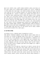 빈곤가족(빈곤가정)의 정의와 유형, 빈곤가족의 문제점-4
