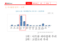 농심 웰빙라면 신제품 계획서-13