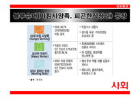 롯데제과의 아침대용식 제과 신제품 계획-12