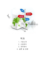 롯데하이마트 재무분석(~2013)-2