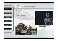 EC-Asbestos CASE 검토-12