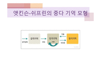 기억의 인지심리학적, 현상학적 접근-10