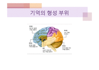 기억의 인지심리학적, 현상학적 접근-14