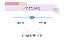 기억의 인지심리학적, 현상학적 접근-17