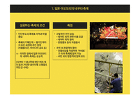 한국 지방정부의 재정 자립도 사례 연구-12