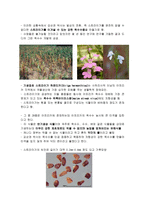 아프리카의 식량문제 고찰-13