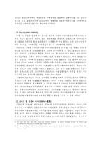 한국 성형의 발달과 특수성-4