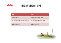 러시아 형식주의와 롤리타-4