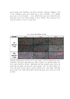 신소재 공정실험-Powder Metallurgy-6