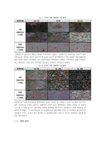 신소재 공정실험-Powder Metallurgy-7