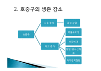SLE 시나리오 PBL-5