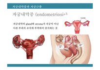 내분비학-여성의 임신과 출산-10