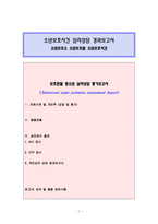 [A＋] 보호관찰 소년보호소 소년보호원 소년보호사건 사례 심리상담 경과보고서(보호관찰 청소년 실제사례 심리 상담 평가)-1