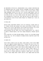 [재혼가정의 문제] 재혼가족의 문제점-3