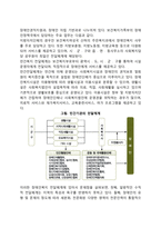 우리나라(한국) 장애인복지정책-6