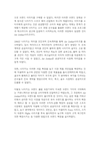 나이키 NIKE 성공전략과 나이키 마케팅,경영전략사례분석및 나이키 발전과정분석-8