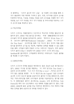 나이키 NIKE 성공전략과 나이키 마케팅,경영전략사례분석및 나이키 발전과정분석-11