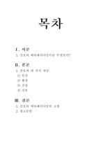 “간호의 메타패러다임”에 관련된 문헌 검색 및 고찰(기본간호학)-2