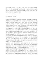 구글 경영전략연구- 구글 Google 성공요인,수익모델,STP분석과 구글 기업 경영전략분석및 향후나아갈방향 제시-15