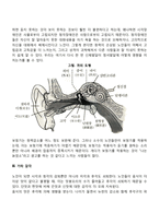 노년기 감각기능의 변화(노인의 감각기관 변화)-5