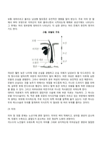 노년기 신체변화(노인의 신체적 변화)-6