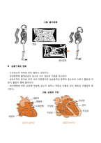 노화에 의한 노인의 신체변화-3