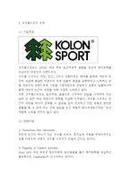 코오롱스포츠 마케팅연구 레포트- 코오롱스포츠 브랜드분석,시장환경,SWOT분석* 코오롱스포츠 국내와 중국진출 마케팅사례분석및 향후나아갈방향 제시-3