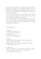 대한항공 기업경쟁력과 SWOT,STP분석* 대한항공 마케팅사례와 4P전략분석* 최근 위기극복위한 대한항공 향후전략방향 제시-5