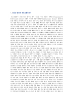 청소년동반자프로그램의 개념과 특징 및 유사 사례-2