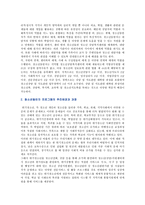 청소년동반자프로그램의 개념과 특징 및 유사 사례-3
