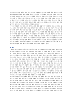 청소년동반자프로그램의 개념과 특징 및 유사 사례-9