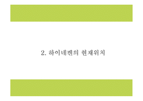 하이네켄 기업분석과 하이네켄 마케팅 SWOT,STP,4P전략분석및 하이네켄 향후방향제시 PPT-8